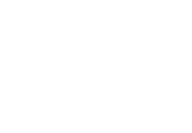 DAMA Digital