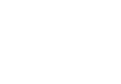 DAMA Digital